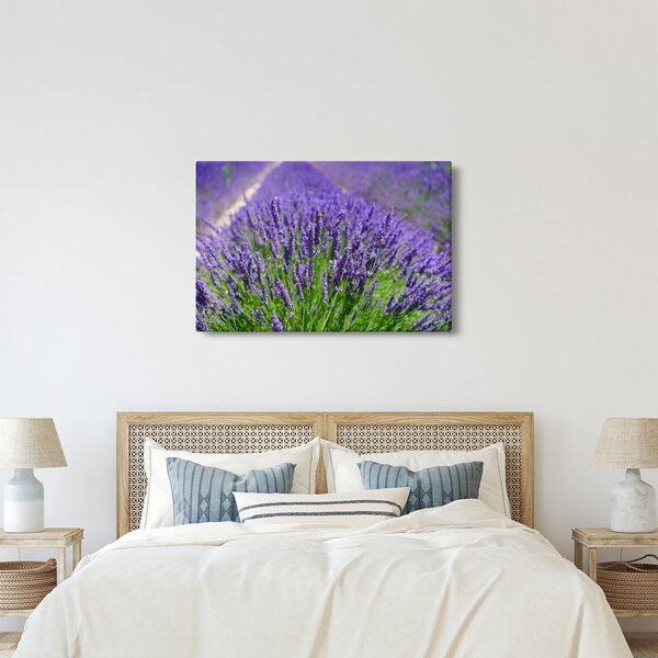 Kép - levandula (90x60 cm)