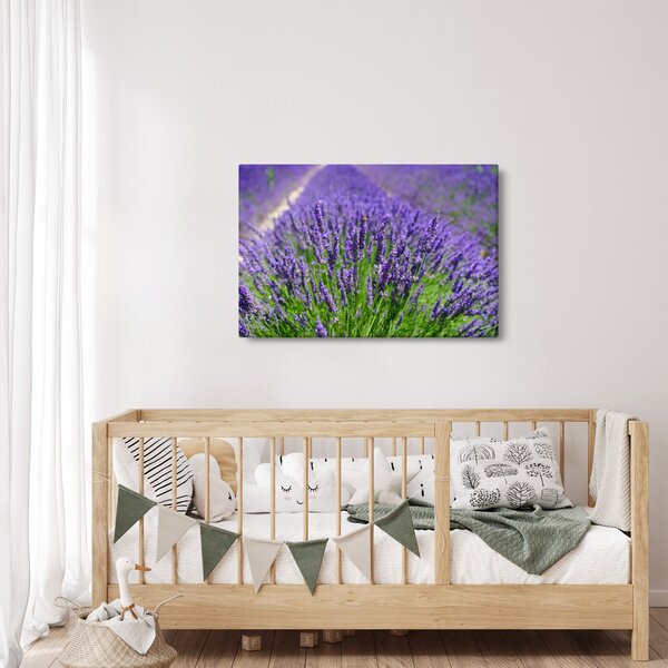 Kép - levandula (90x60 cm)