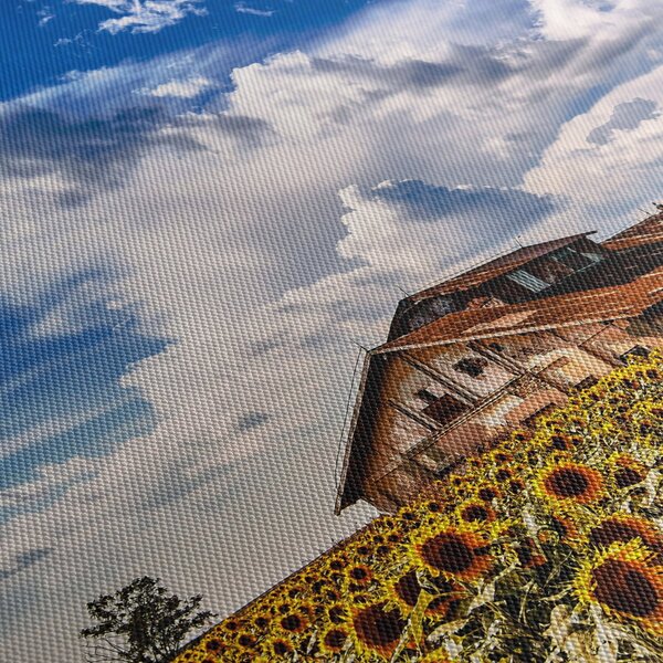 Napraforgó mező képe (120x50 cm)