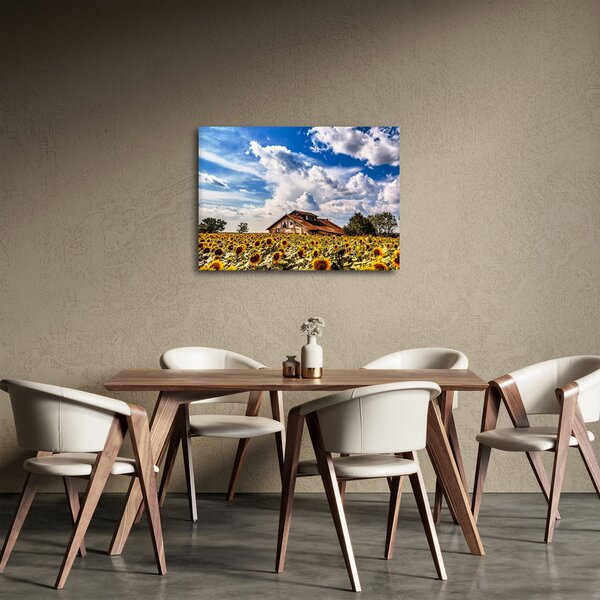 Napraforgó mező képe (70x50 cm)