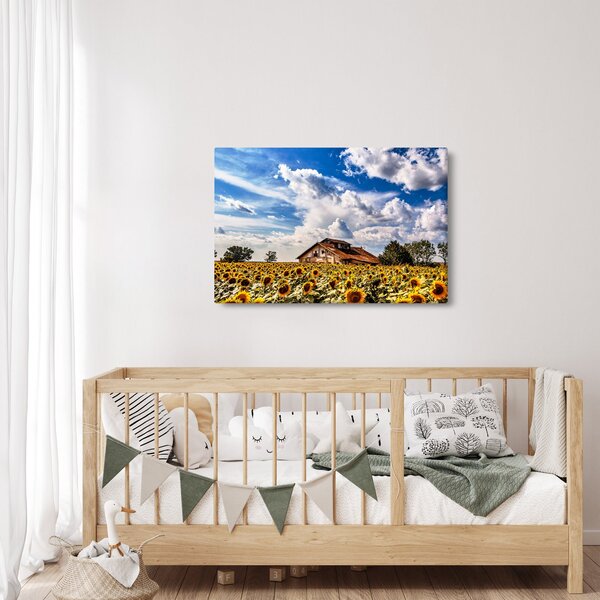 Napraforgó mező képe (90x60 cm)