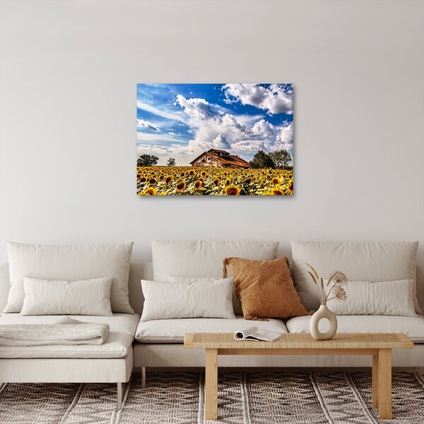 Napraforgó mező képe (70x50 cm)