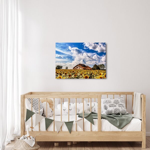 Napraforgó mező képe (70x50 cm)
