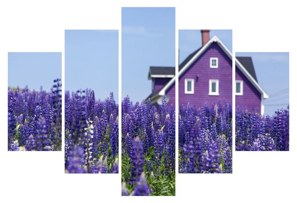 Levandula mező képe (150x105 cm)