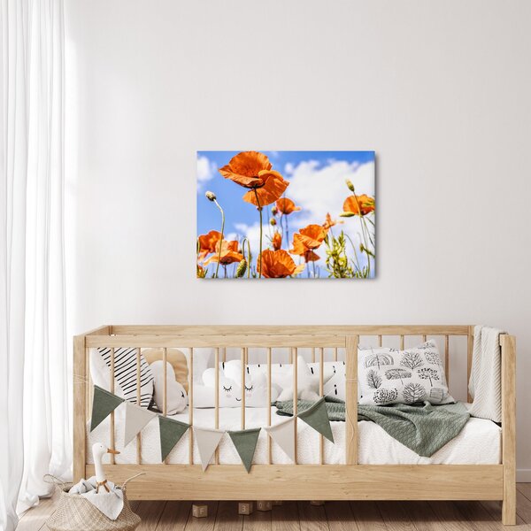 Pipacsok képe (70x50 cm)