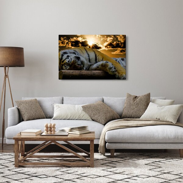 Alvó tigris képe (90x60 cm)