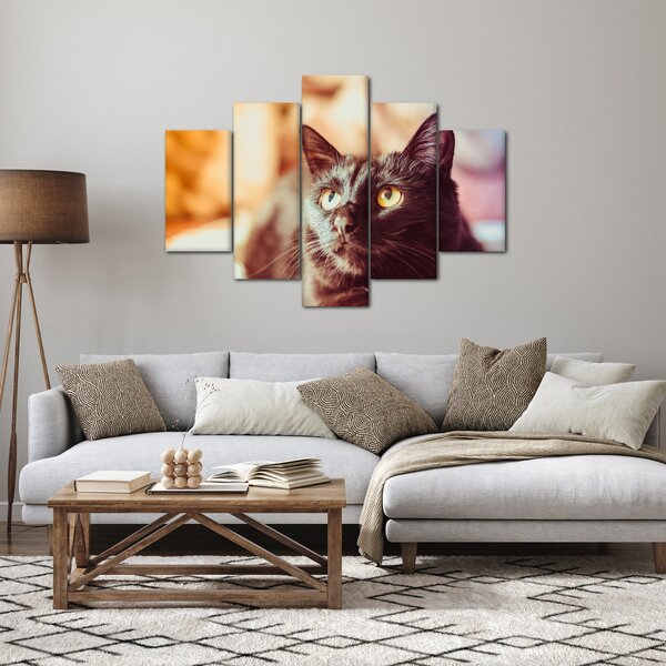 Fekete macska képe (150x105 cm)