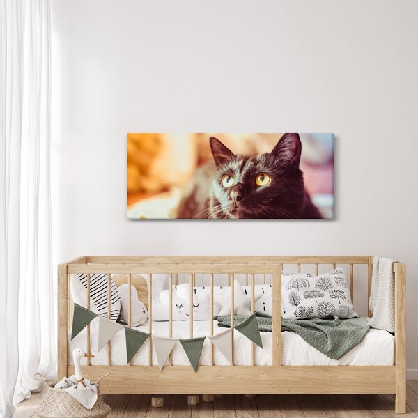 Fekete macska képe (120x50 cm)