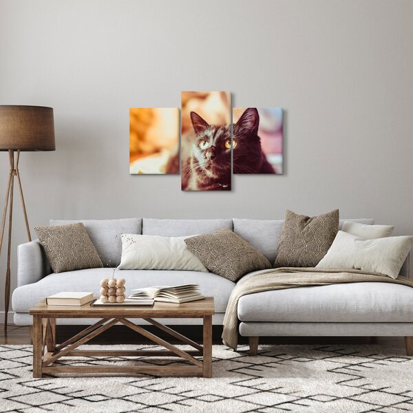 Fekete macska képe (90x60 cm)