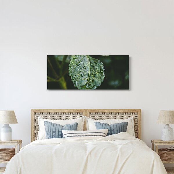 Kép - cseppek a levelen (120x50 cm)