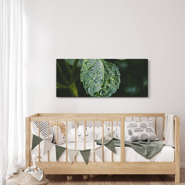 Kép - cseppek a levelen (120x50 cm)