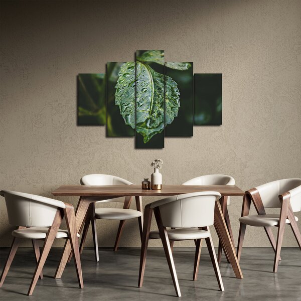 Kép - cseppek a levelen (150x105 cm)