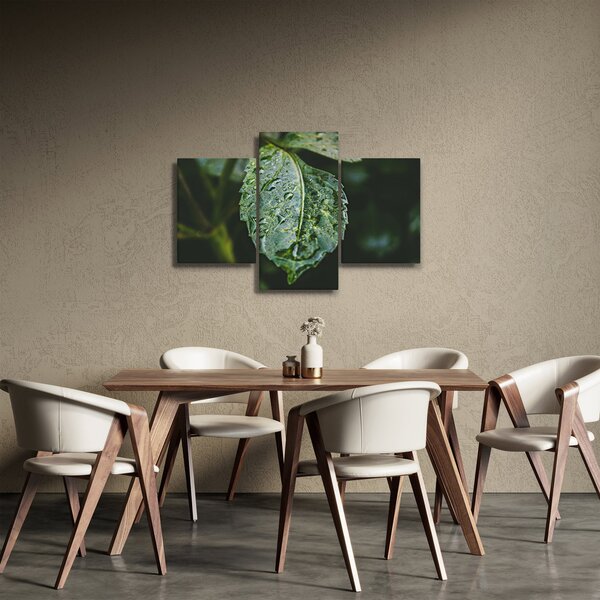 Kép - cseppek a levelen (90x60 cm)