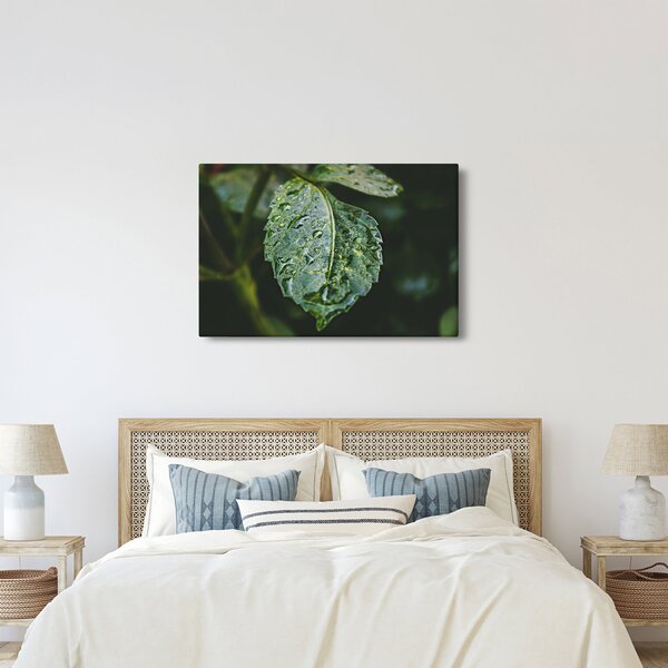 Kép - cseppek a levelen (90x60 cm)