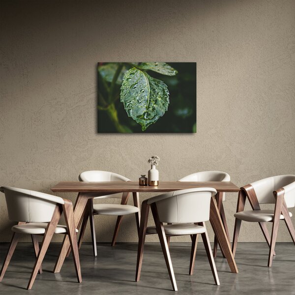 Kép - cseppek a levelen (70x50 cm)