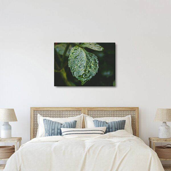 Kép - cseppek a levelen (70x50 cm)