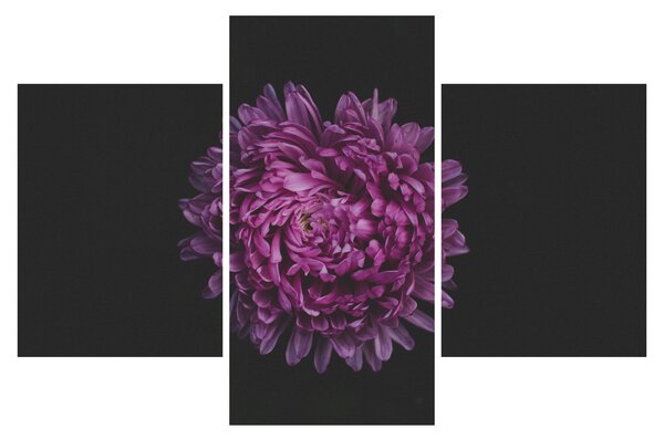 Lila virág képe (90x60 cm)