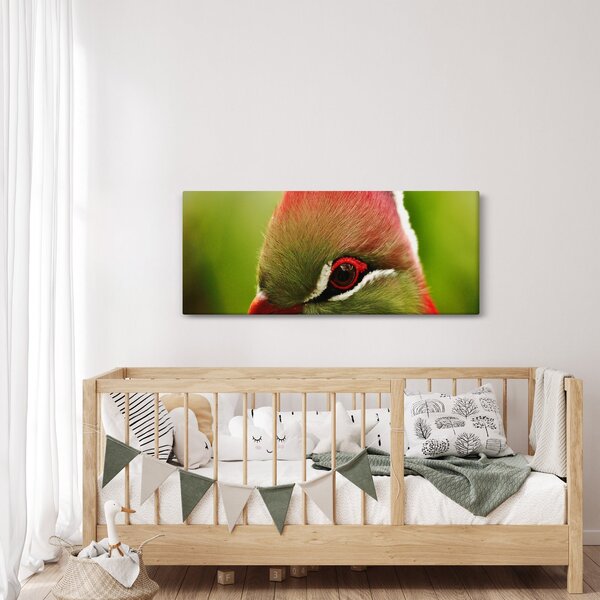 Színes madár képe (120x50 cm)