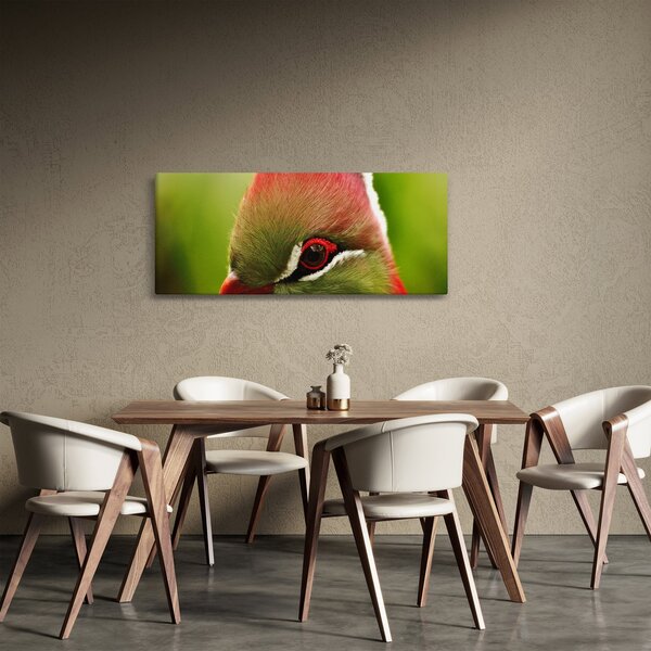 Színes madár képe (120x50 cm)