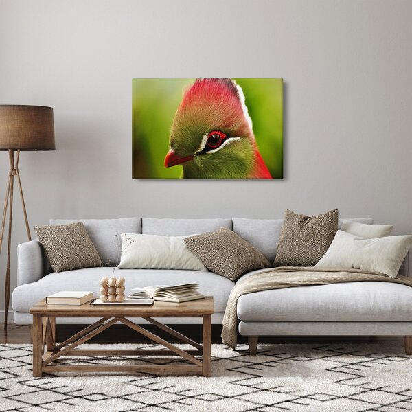 Színes madár képe (90x60 cm)