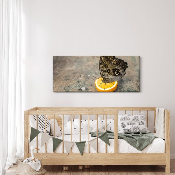 Pillangó képe (120x50 cm)