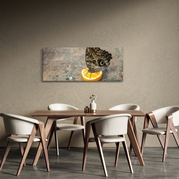 Pillangó képe (120x50 cm)