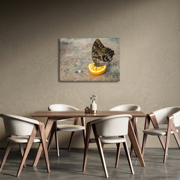 Pillangó képe (70x50 cm)