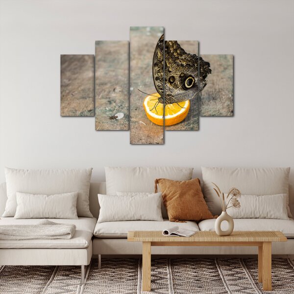 Pillangó képe (150x105 cm)