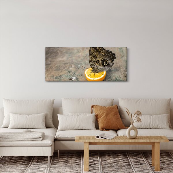 Pillangó képe (120x50 cm)