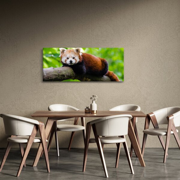 A vörös panda képe (120x50 cm)