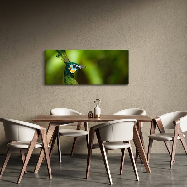 Páva képe (120x50 cm)