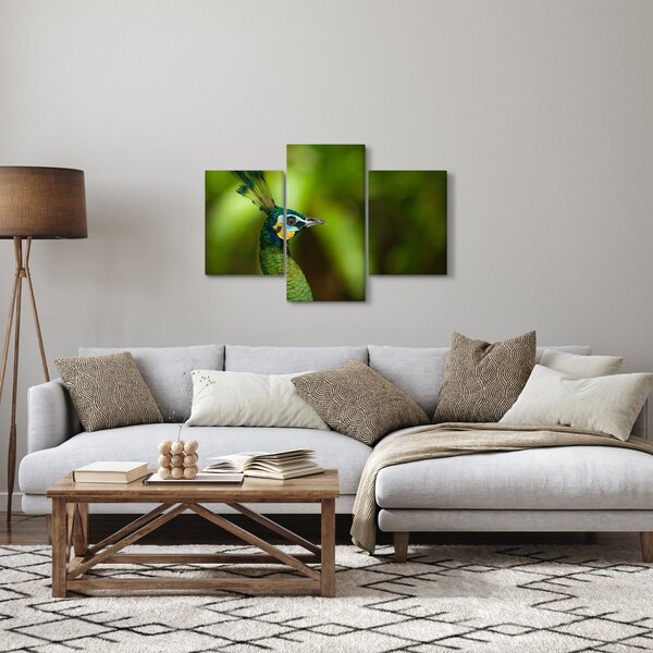 Páva képe (90x60 cm)