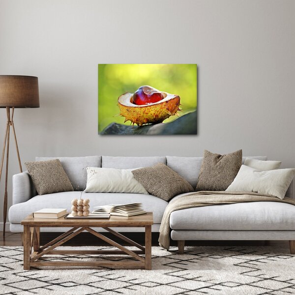 Gesztenye képe (70x50 cm)