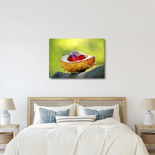 Gesztenye képe (70x50 cm)