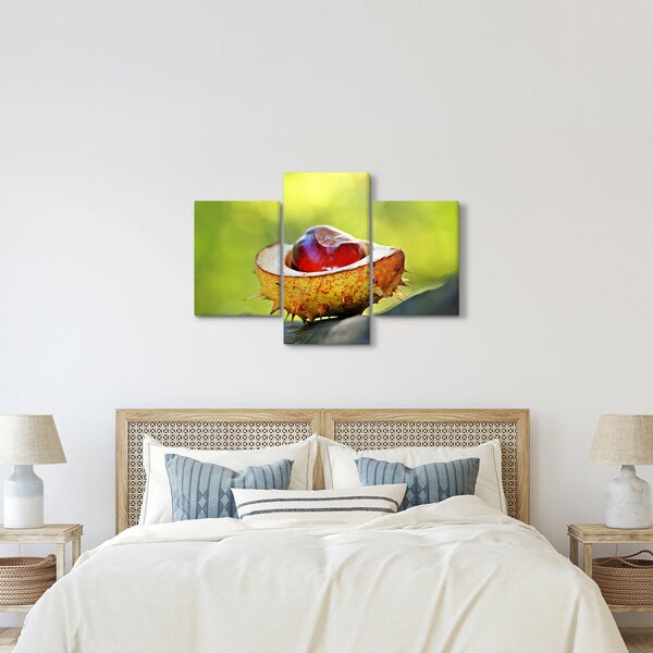 Gesztenye képe (90x60 cm)