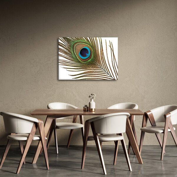 Pávatoll képe (70x50 cm)