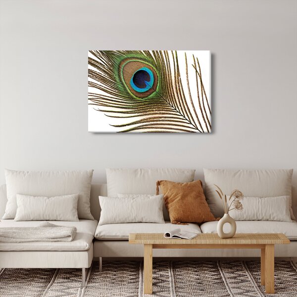 Pávatoll képe (90x60 cm)