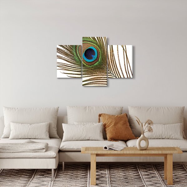 Pávatoll képe (90x60 cm)