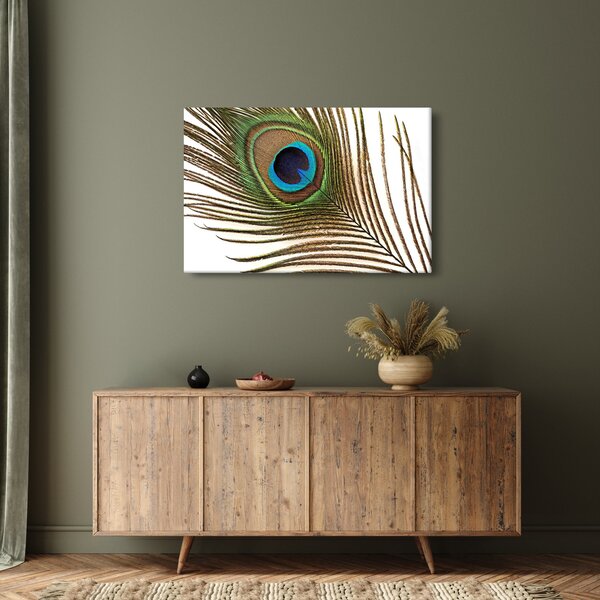 Pávatoll képe (90x60 cm)