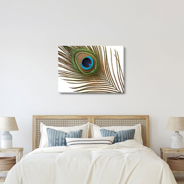 Pávatoll képe (70x50 cm)