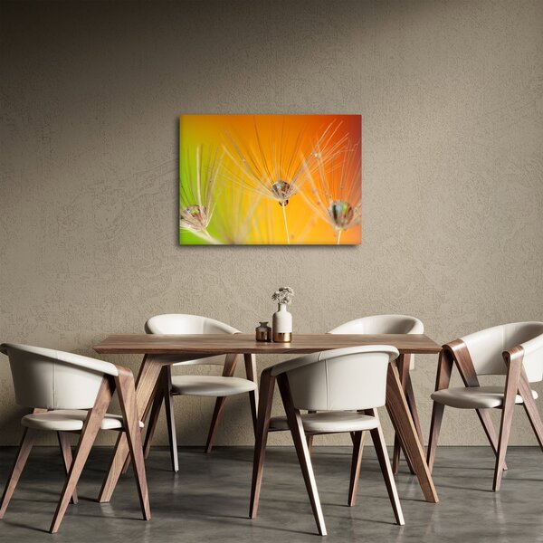Cseppek a növényen képe (70x50 cm)