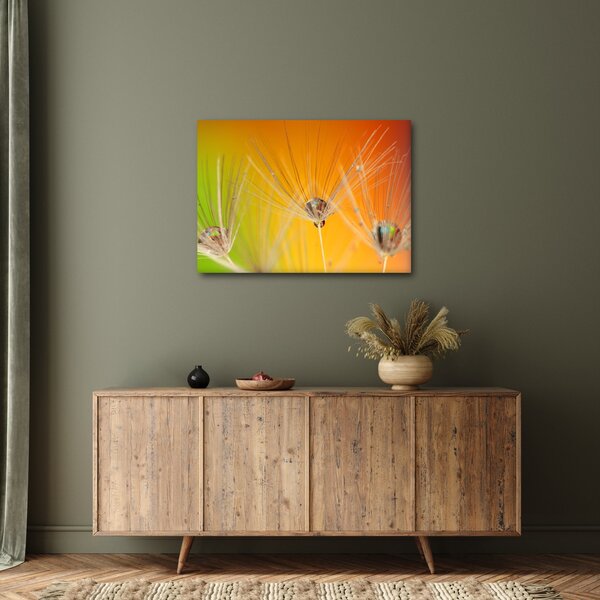 Cseppek a növényen képe (70x50 cm)
