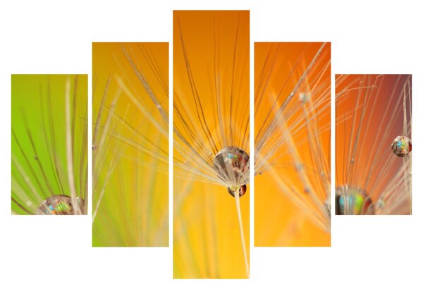 Cseppek a növényen képe (150x105 cm)