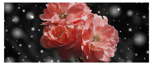 Rózsaszín virág képe (120x50 cm)