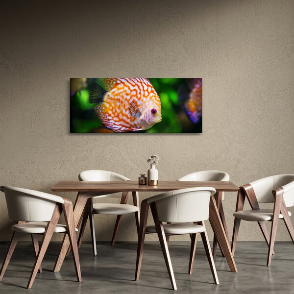 Egy hal képe (120x50 cm)