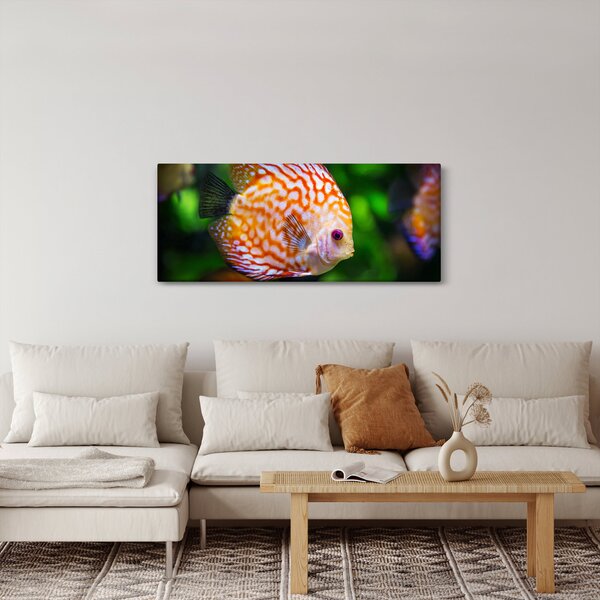Egy hal képe (120x50 cm)