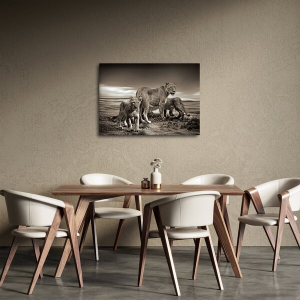 Fekete fehér tigris képe (70x50 cm)