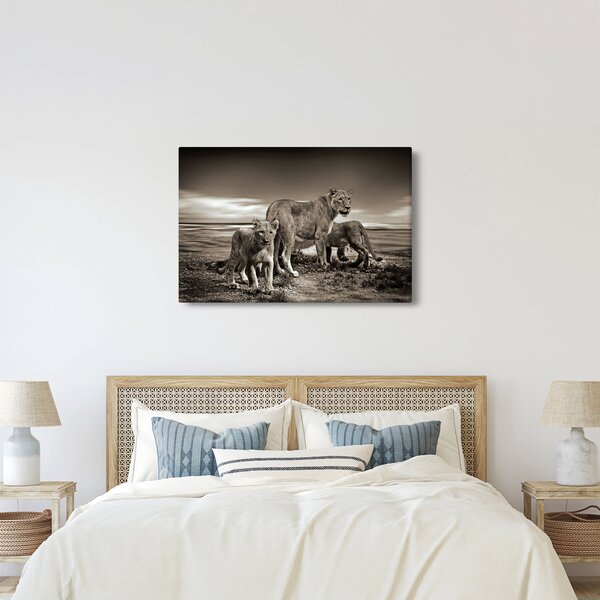Fekete fehér tigris képe (90x60 cm)