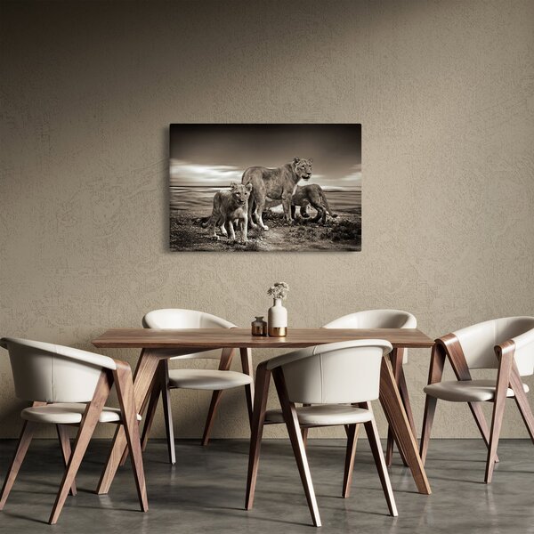 Fekete fehér tigris képe (90x60 cm)