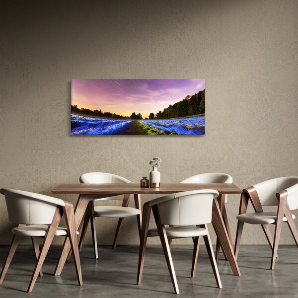 Színes mező képe (120x50 cm)